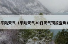 平陆天气（平陆天气30日天气预报查询）