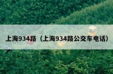 上海934路（上海934路公交车电话）