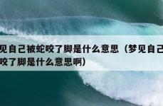 梦见自己被蛇咬了脚是什么意思（梦见自己被蛇咬了脚是什么意思啊）