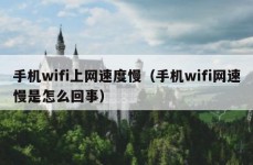 手机wifi上网速度慢（手机wifi网速慢是怎么回事）