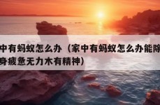 家中有蚂蚁怎么办（家中有蚂蚁怎么办能除根浑身疲惫无力木有精神）