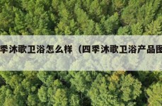 四季沐歌卫浴怎么样（四季沐歌卫浴产品图片）