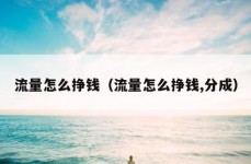 流量怎么挣钱（流量怎么挣钱,分成）