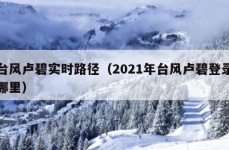 台风卢碧实时路径（2021年台风卢碧登录哪里）