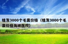 植发3000个毛囊价格（植发3000个毛囊价格海峡医院）