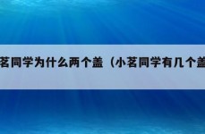 小茗同学为什么两个盖（小茗同学有几个盖子）