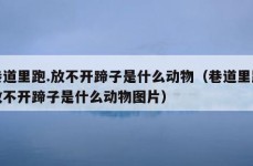 巷道里跑.放不开蹄子是什么动物（巷道里跑放不开蹄子是什么动物图片）