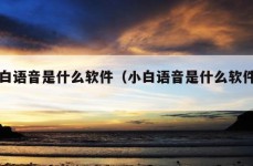 小白语音是什么软件（小白语音是什么软件啊）