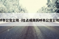 呼市公交公司（杜占成简历呼市公交公司）