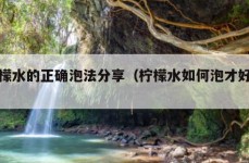 柠檬水的正确泡法分享（柠檬水如何泡才好喝）