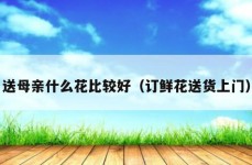 送母亲什么花比较好（订鲜花送货上门）