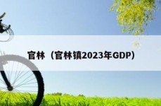 官林（官林镇2023年GDP）