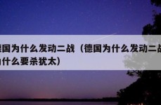 德国为什么发动二战（德国为什么发动二战,为什么要杀犹太）