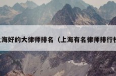 上海好的大律师排名（上海有名律师排行榜）