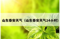 山东泰安天气（山东泰安天气24小时）