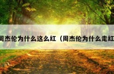 周杰伦为什么这么红（周杰伦为什么走红）