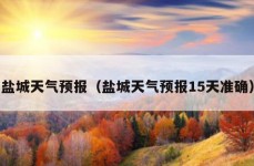 盐城天气预报（盐城天气预报15天准确）