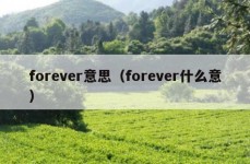 forever意思（forever什么意）