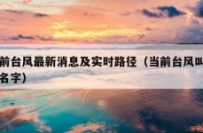 当前台风最新消息及实时路径（当前台风叫什么名字）