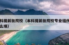 本科提前批院校（本科提前批院校专业组代号怎么填）