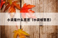 小资是什么意思（小资啥意思）