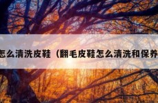 怎么清洗皮鞋（翻毛皮鞋怎么清洗和保养）