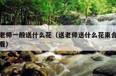 送老师一般送什么花（送老师送什么花束合适好看）