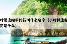 小时候染指甲的花叫什么名字（小时候染指甲的花是什么）