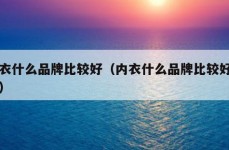 内衣什么品牌比较好（内衣什么品牌比较好一点）