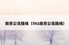 南京公交路线（502南京公交路线）