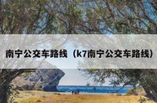 南宁公交车路线（k7南宁公交车路线）