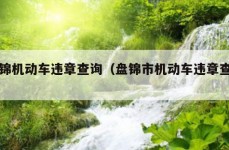 盘锦机动车违章查询（盘锦市机动车违章查询）