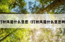 打秋风是什么意思（打秋风是什么意思啊）