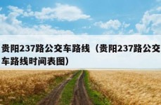 贵阳237路公交车路线（贵阳237路公交车路线时间表图）