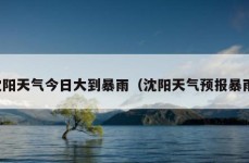 沈阳天气今日大到暴雨（沈阳天气预报暴雨）