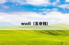 wudi（五帝钱）