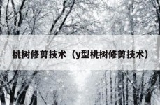 桃树修剪技术（y型桃树修剪技术）